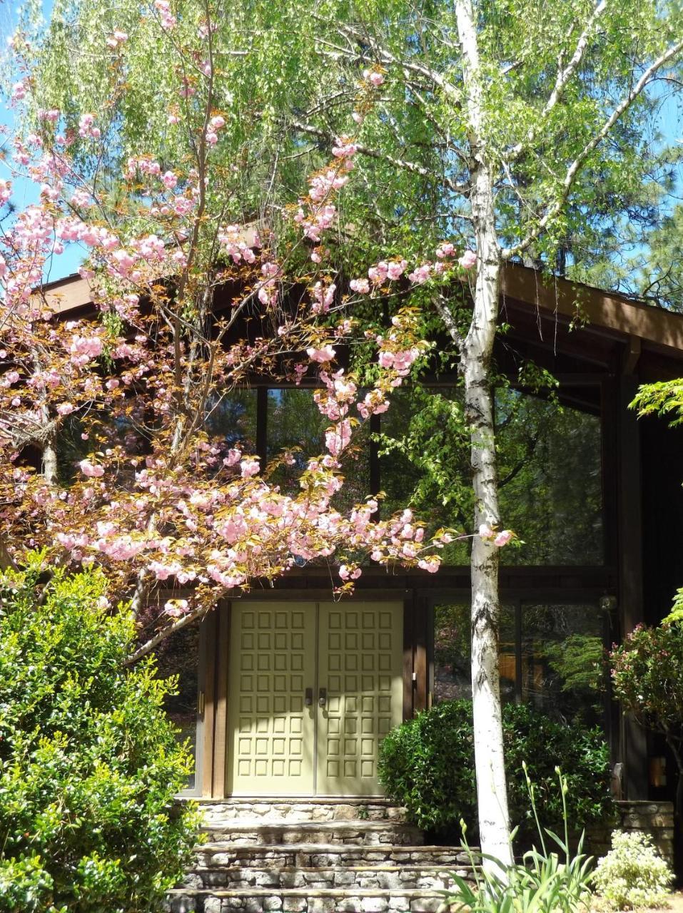 Ponderosa Ridge A B & B Placerville Bagian luar foto